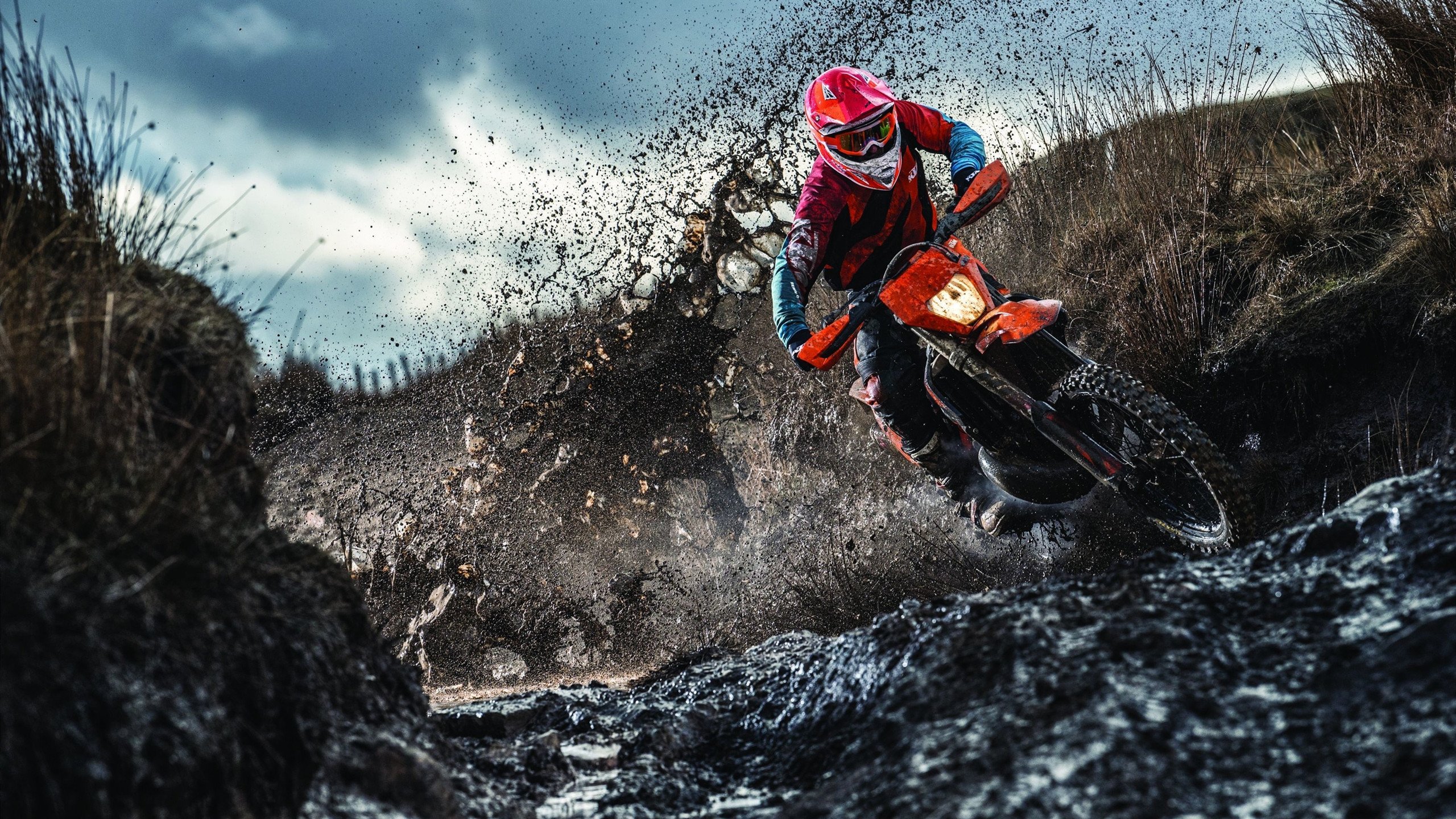 《泰晤士报》：荷兰女足在预选赛中与德国队激战，荷兰女足球